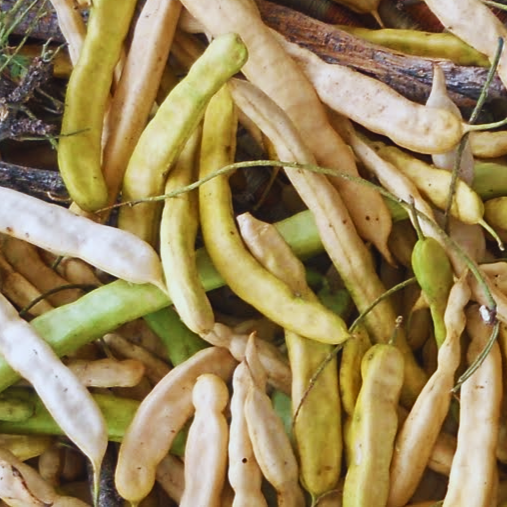Ulu Kiawe Banana Vinegar