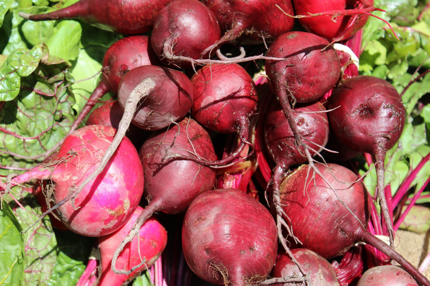 Heart Beets Hot Sauce