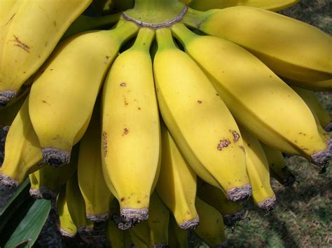 Abiu Banana Vinegar