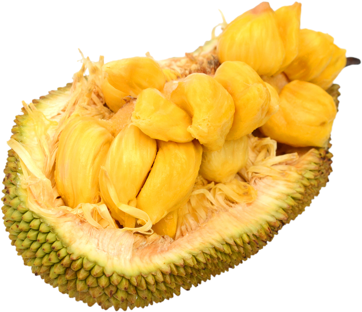 Jackfruit Vinegar