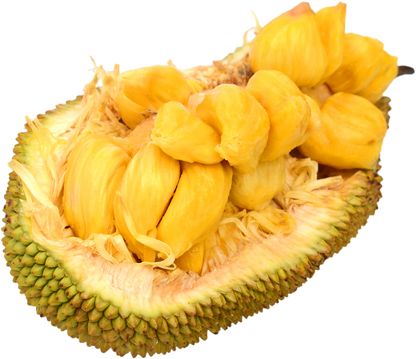 Jackfruit Vinegar
